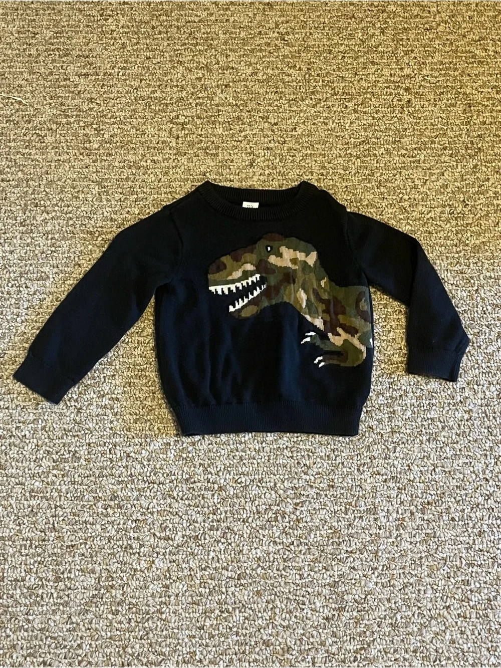 Baby gap dinosaur sweater 18-24M